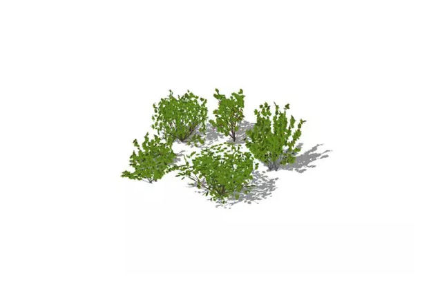3D rendering af Bærbuske